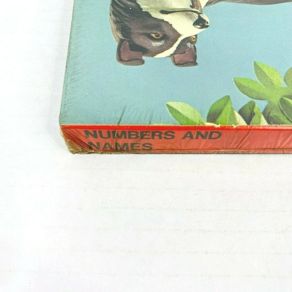 Talking View Master Numbers and Names Learning Fun Series 3 Reel Set Sealed Kids
